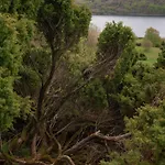 Bramslev Bakker Naturhotel