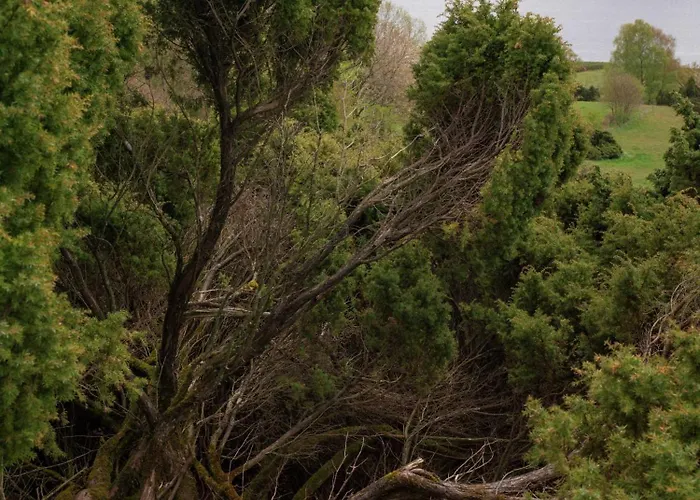 Bramslev Bakker Naturhotel